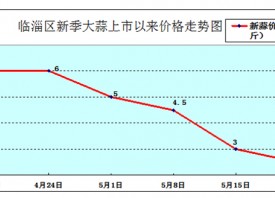 淄博：大蒜價(jià)格持續(xù)大幅回落 ()