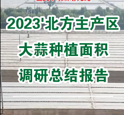 【即將發(fā)布】2023'北方主產區(qū)大蒜種植面積調研總結報告 (1830播放)