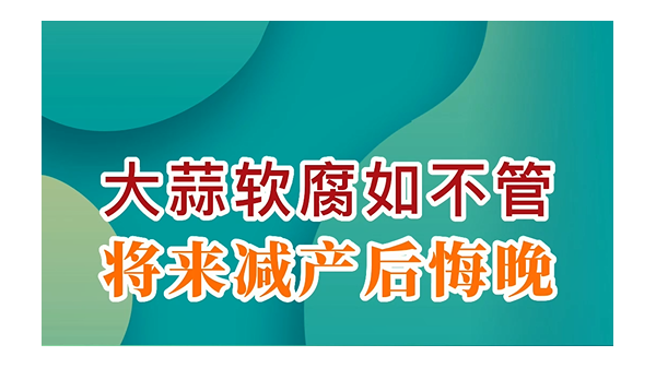 大蒜軟腐如不管，將來減產(chǎn)后悔晚 (730播放)