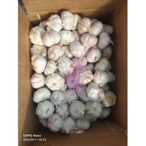 大蒜加工、出口 Garlic exporter