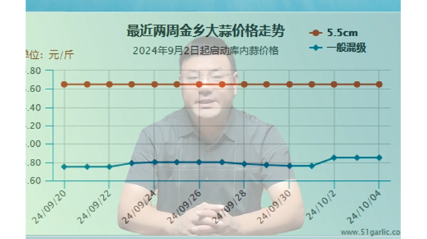 蒜價猛然上漲、能否再接再厲 (634播放)