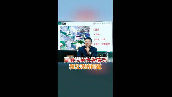 目前蒜苗長勢情況和發(fā)現(xiàn)的問題 (681播放)